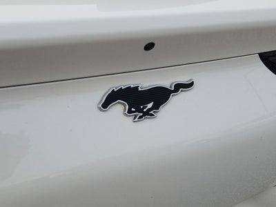 2024 Ford Mustang Mach-E Premium