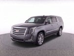 2020 Cadillac Escalade ESV Platinum