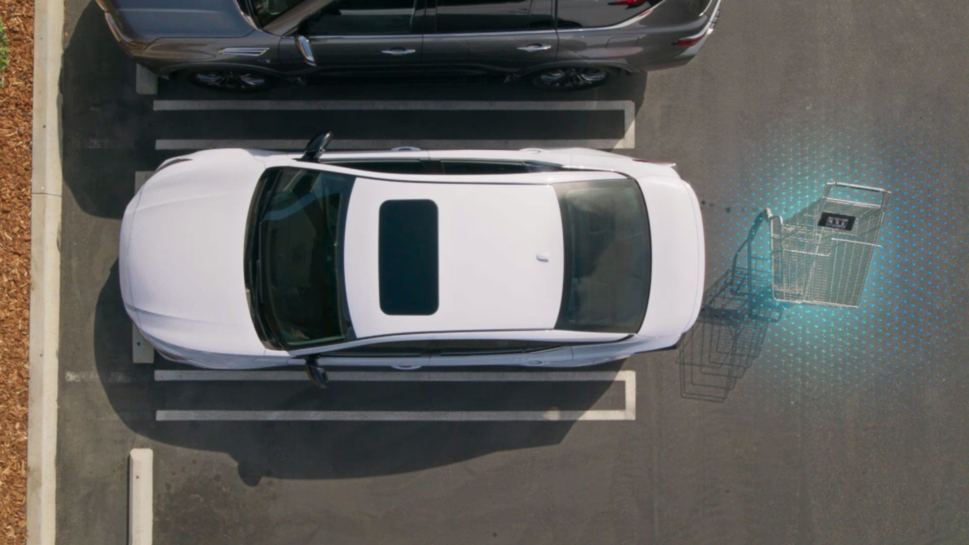 2026 Nissan Altima | Banister Nissan of Chesapeake in Chesapeake, VA