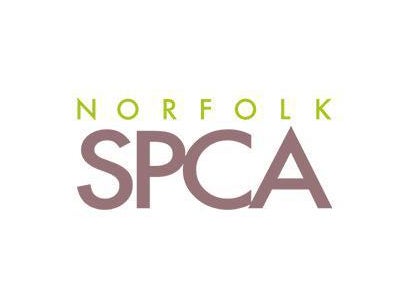 Banister Nissan of Chesapeake in Chesapeake VA